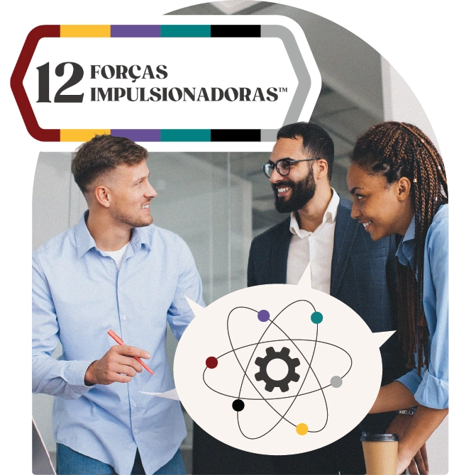 12 Forças Impulsionadoras da TTI Success Insights